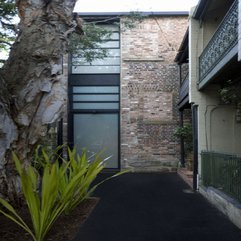 Plants Near Tree With Black Flooring Small Green - Karbonix