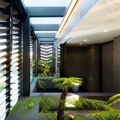 Plants Placed In The Bathroom In Green - Karbonix