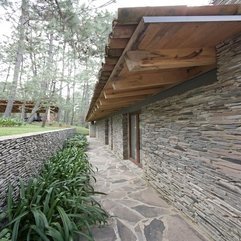 Plants Planted Near Stone Fence In Home Courtyard In Green - Karbonix