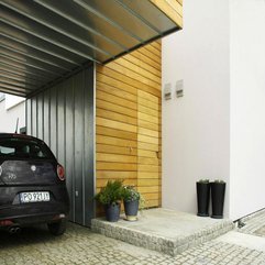 Pot With Plants Placed Front Of Wooden Wall For Garage Small Black - Karbonix