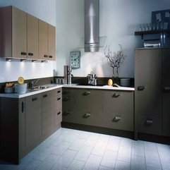 Program Free With Ornamental Leaves Kitchen Design - Karbonix