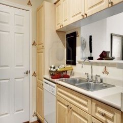 Best Inspirations : Retro Apartment Kitchen Decoration Interior - Karbonix