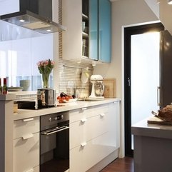 Best Inspirations : Reviews Big Storage Ikea Kitchen - Karbonix