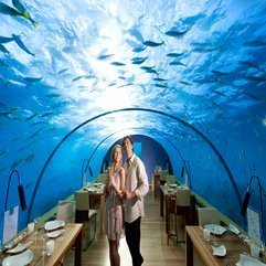 Romantic Nuance Under Water Restaurant With Fish View The Most - Karbonix
