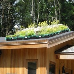 Roof Gardens Option For Home - Karbonix