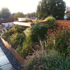 Rooftop With Plantation Landscape On - Karbonix