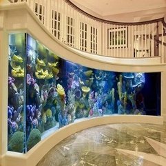 Room Wall Aquarium Decoration Ideas Pictures Cool Entry - Karbonix