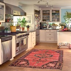 Best Inspirations : Rugs Design Ideas Cool Kitchen - Karbonix