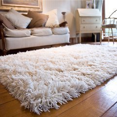 Best Inspirations : Shagpile Carpet Araneus1 - Karbonix