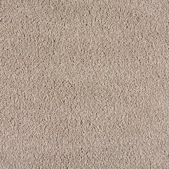 Shop Fresh Outlook Neutral Ground Textured Indoor Carpet At Lowes - Karbonix