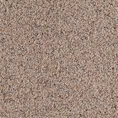 Shop Mohawk Essentials Pajaro Neutral Ground Textured Indoor - Karbonix