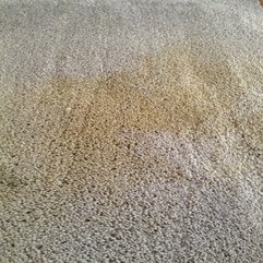 Simple Little Home Carpet Cleaning Done Naturally - Karbonix