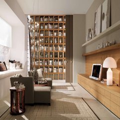 Sitting Room Library Artistic Ideas - Karbonix