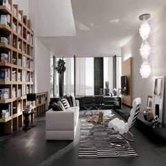 Sitting Room Library New Design - Karbonix