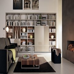 Sitting Room Library Wonderful Elegant - Karbonix