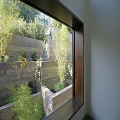 Small Garden Viewed From Inside Through Glazed Window Plants In - Karbonix