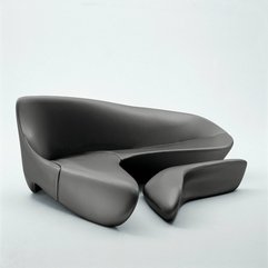 Sofa Magnificent Modern - Karbonix