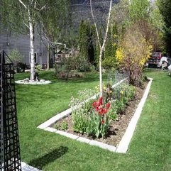 Stones With Tulip Flower Plants Landscaping Edging - Karbonix