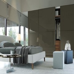 Stylish And Minimalist Walk Wardrobes Design Italian Modern - Karbonix