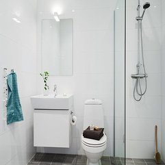 Swedish Apartment Small Bathroom - Karbonix