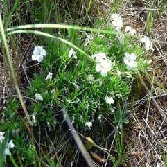 Best Inspirations : Take A Walk In Missoula Waterworks Hill - Karbonix