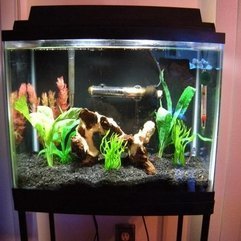 Tank Decoration Ideas Advices Fish - Karbonix