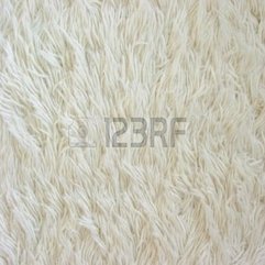 Texture Of White Fuzzy Carpet Royalty Free Stock Photo Pictures - Karbonix