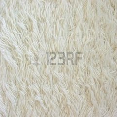 Texture Of White Fuzzy Carpet Royalty Free Stock Photo Pictures - Karbonix