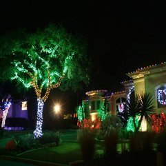 The Backyard Christmas Decorations - Karbonix
