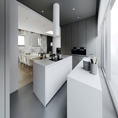The Grey Color Walls Island Kitchen - Karbonix