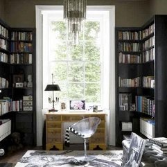 Therapy Bookshelves Best Apartment - Karbonix