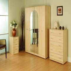 Timber Wardrobe Designs With Mirror Rack Above Wooden Parquet Floor Exotic Idea - Karbonix