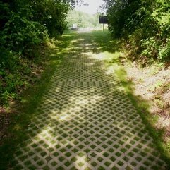 Best Inspirations : Today 39 S Project Photo A Lovely Carpet Of Grassy Pavers NH - Karbonix