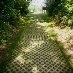 Today 39 S Project Photo A Lovely Carpet Of Grassy Pavers NH - Karbonix