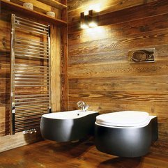 Best Inspirations : Toilet Classically Cool - Karbonix