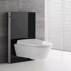 Best Inspirations : Toilet Wall Design New Inspiration - Karbonix