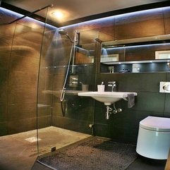 Transparent Partition Glass For The Shower Bathroom Furnishing Looks Cool - Karbonix