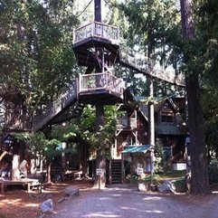 Tree House Resort Oregon Long Road - Karbonix