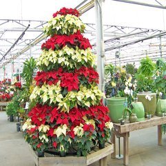Best Inspirations : Tree Pictures Flower Christmas - Karbonix