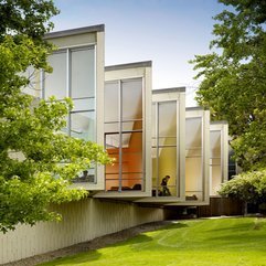 Tree Tops View Facing Green Grass Field Large Window - Karbonix