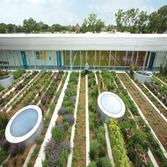 Best Inspirations : Urban Agriculture Design Rooftop Haven - Karbonix