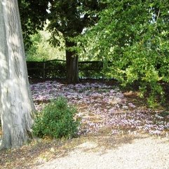 Best Inspirations : Wakehurst Place Lovely Carpet Of Flowers Flickr Photo Sharing - Karbonix