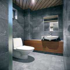 Wall Design New Toilet - Karbonix