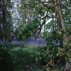 Welsh Quilts Walk To Blaxhall - Karbonix