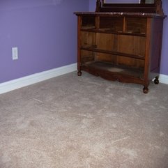 What Is The Best Carpet And Color To Install In A House We Are - Karbonix