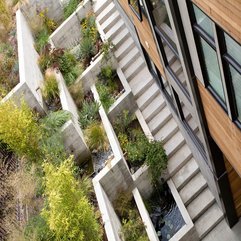 White Box Garden Plants In - Karbonix