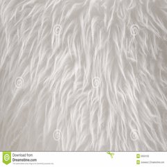 Best Inspirations : White Fur Royalty Free Stock Photo Image 34504105 - Karbonix