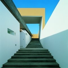Best Inspirations : White Ladder Of The Casa Equis The Dark - Karbonix