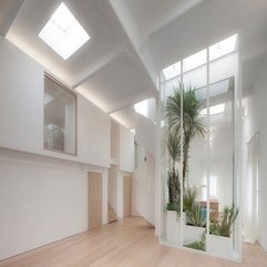 White Private Home Combined With Green Plants Glazed Box Minimalist Bright - Karbonix