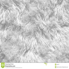 White Shag Carpet Texture Stock Photography Image 645972 - Karbonix